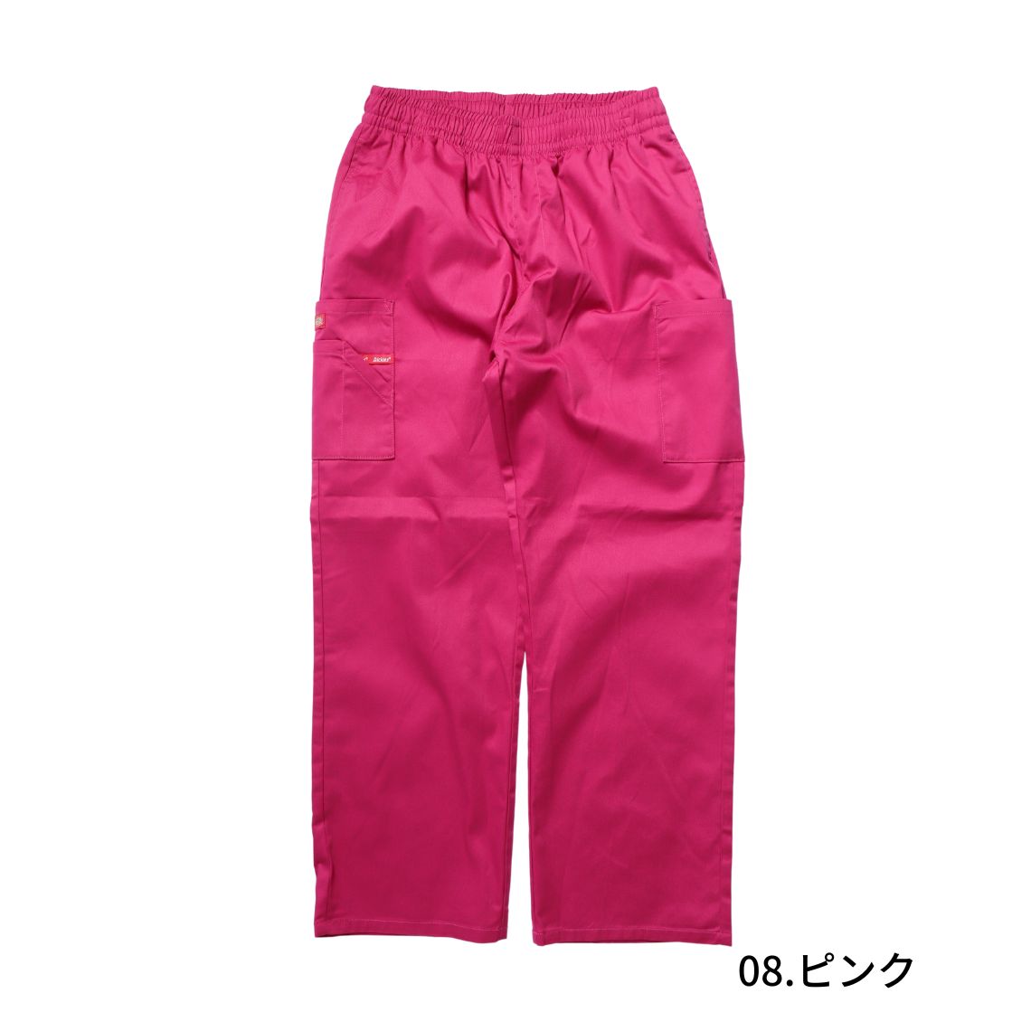 Dickies ディッキーズ ホスピタル パンツ ladys – システム14
