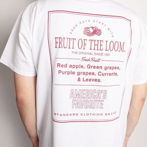 FRUIT OF THE LOOM フルーツオブザルーム 半袖 プリントTシャツ 27 mens