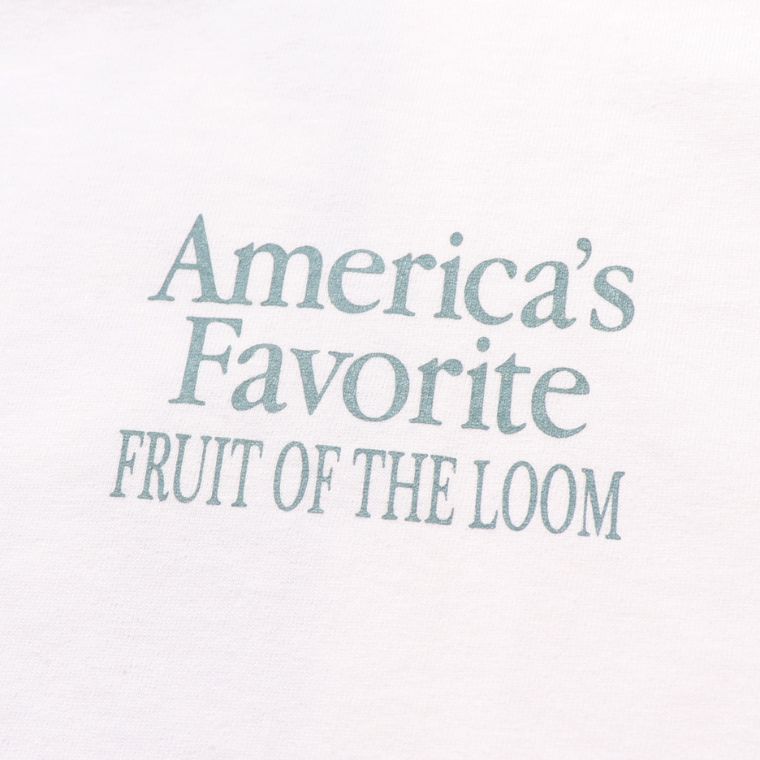 FRUIT OF THE LOOM フルーツオブザルーム 半袖 プリントTシャツ 27 mens